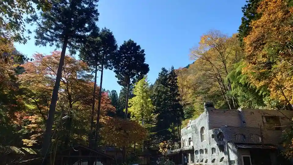 秩父彩の国キャンプ村の1枚目画像
