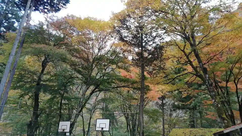 秩父彩の国キャンプ村の2枚目画像