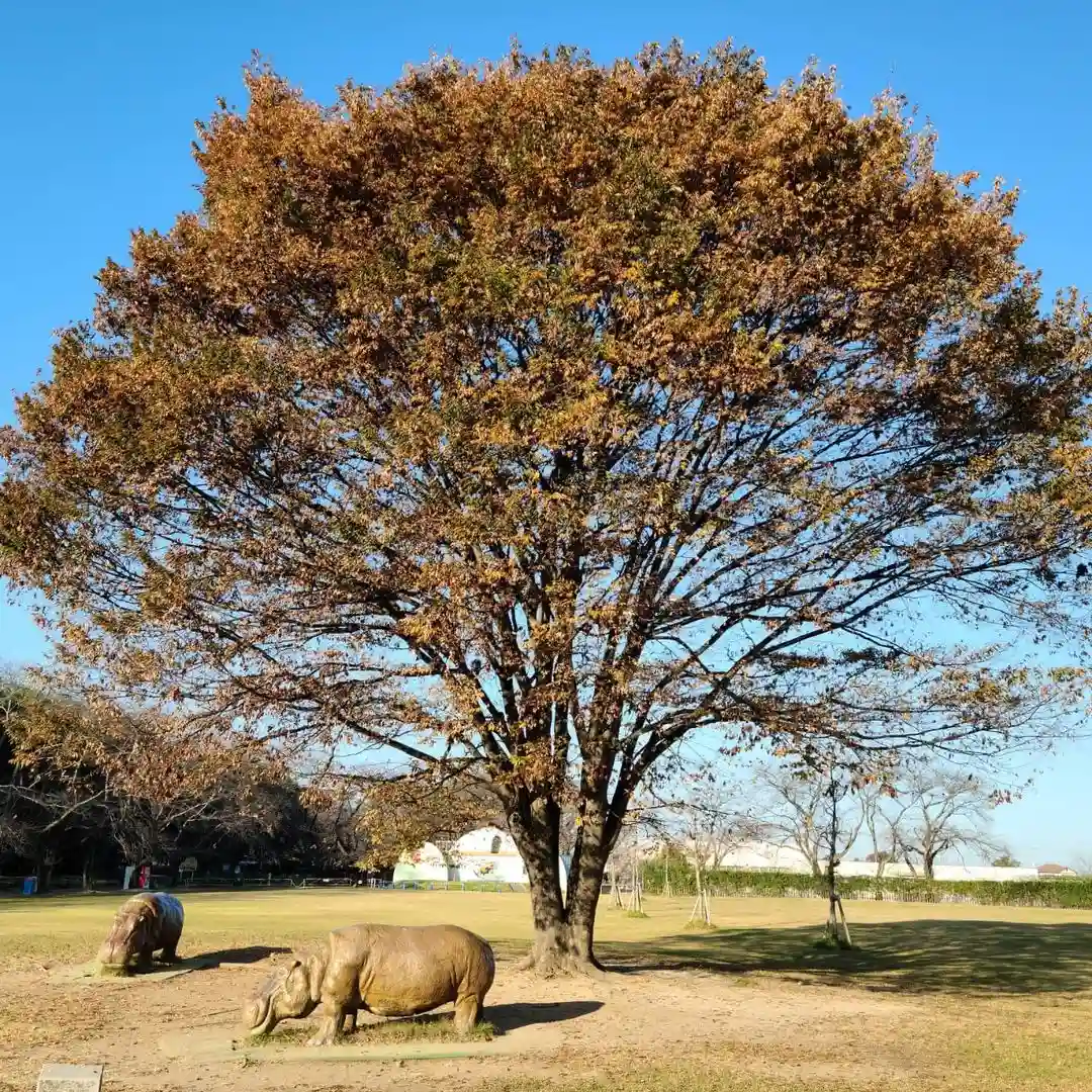 むさしの村の1枚目画像