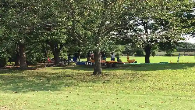 田島公園のメイン写真