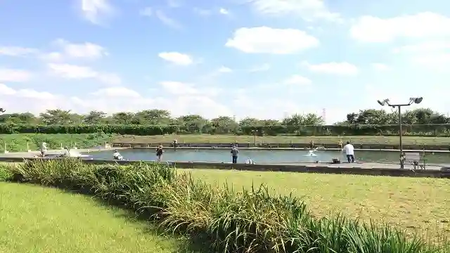 田島公園の3枚目画像