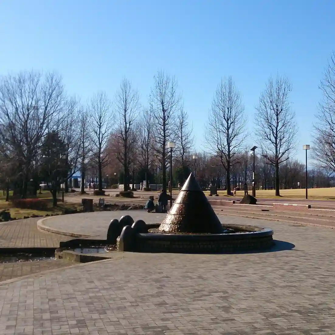 本庄総合公園の1枚目画像