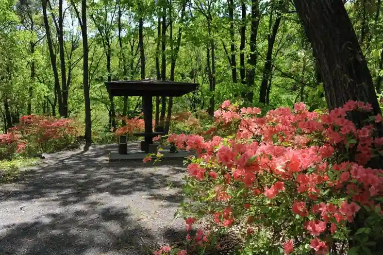 本庄市ふるさとの森公園の1枚目画像