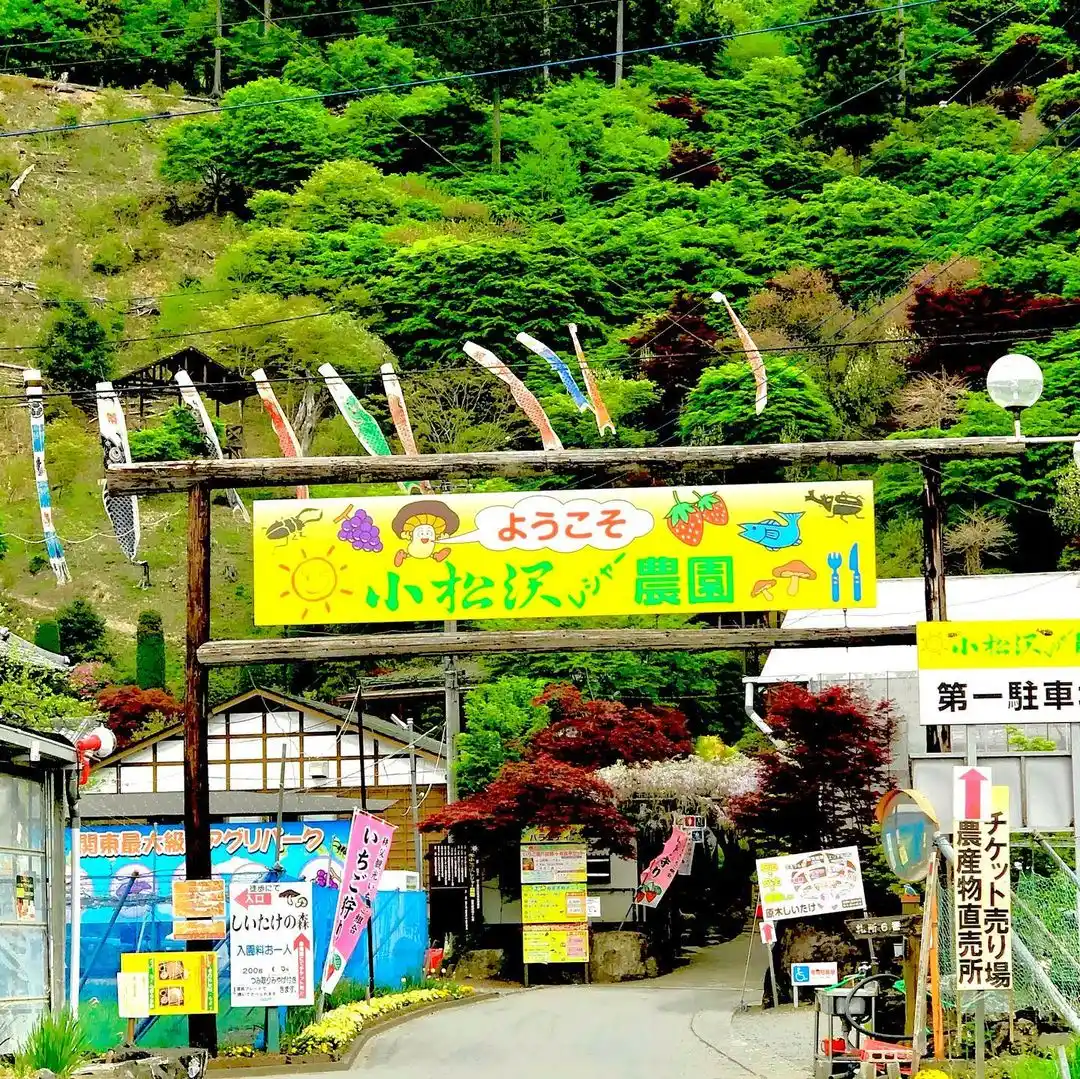 小松沢レジャー農園の1枚目画像