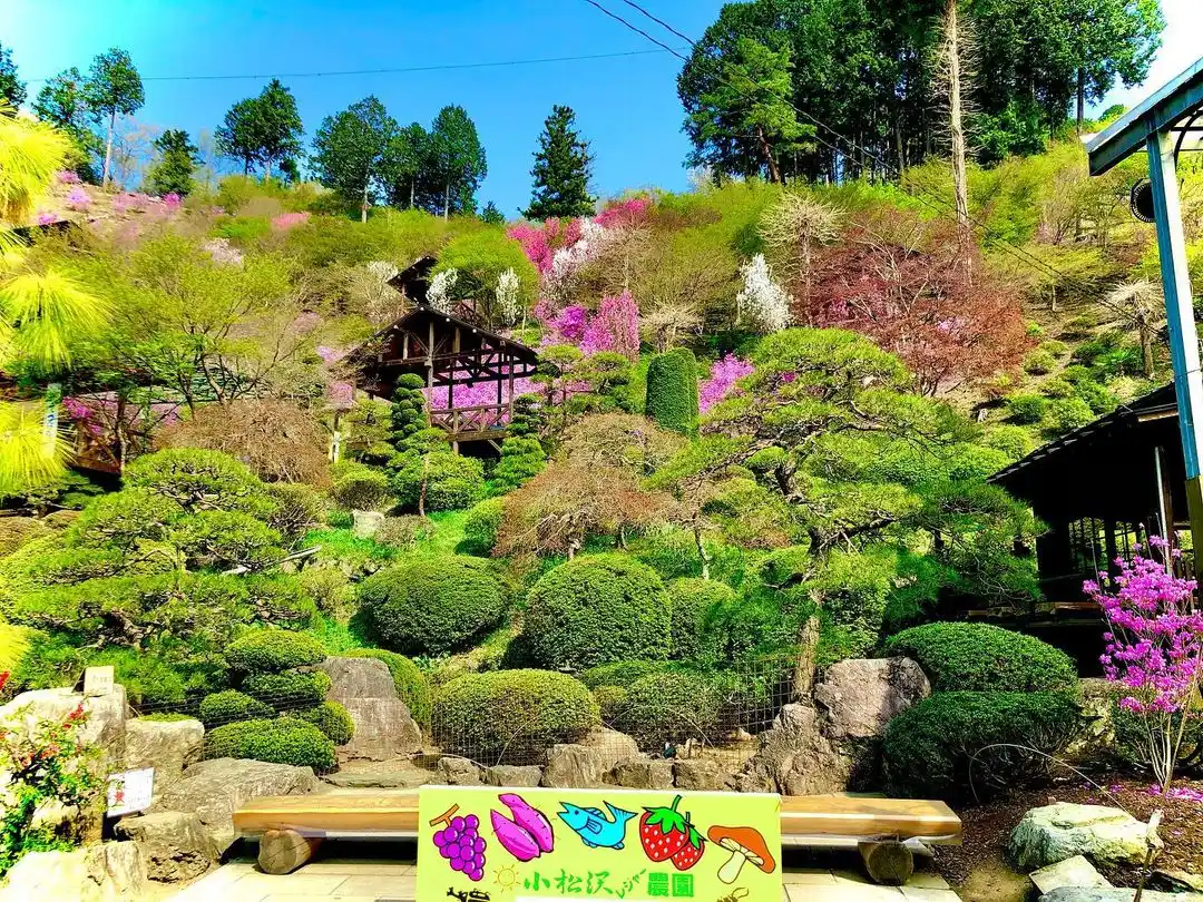 小松沢レジャー農園の3枚目画像