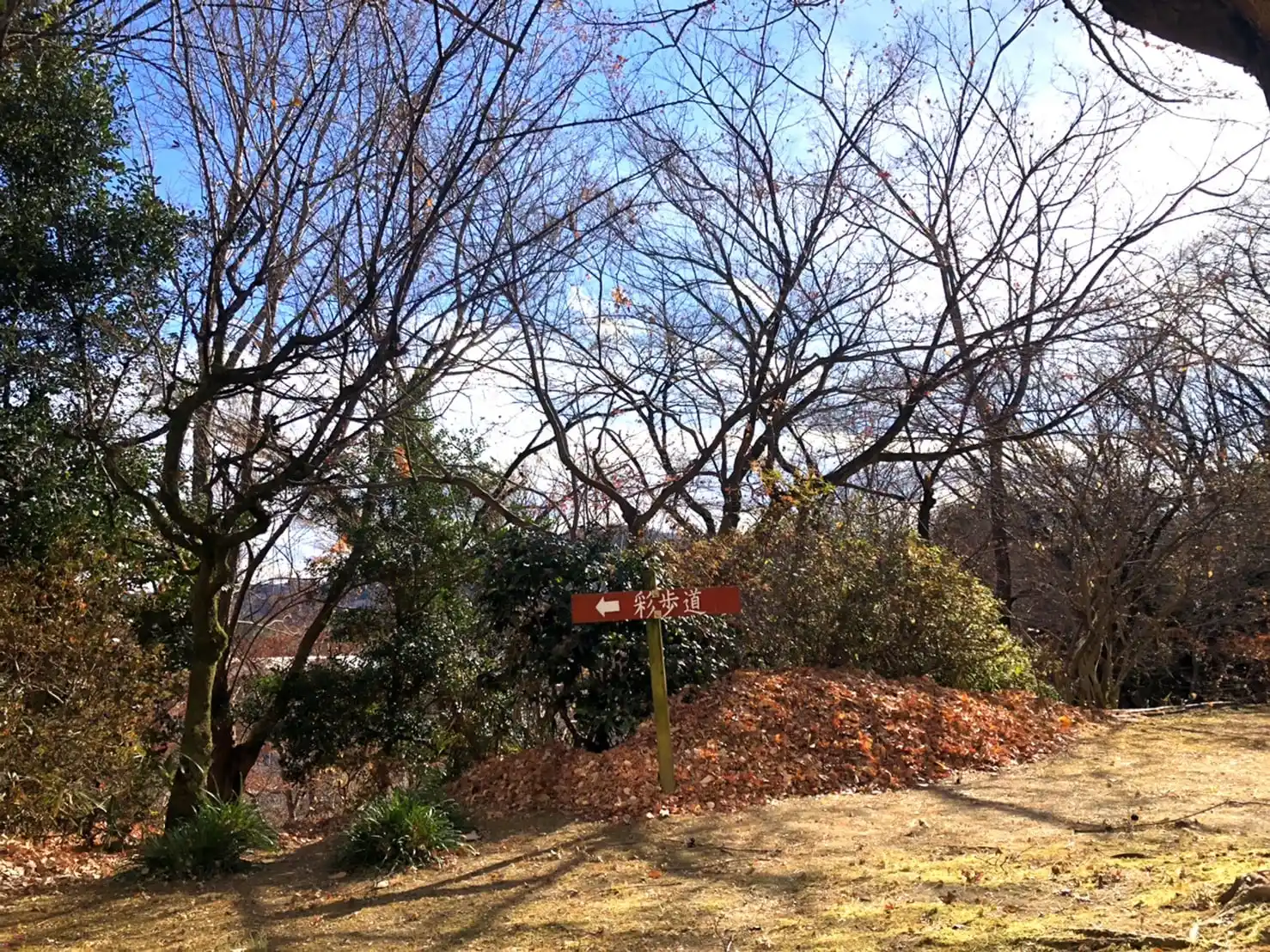 埼玉県立神川げんきプラザの3枚目画像