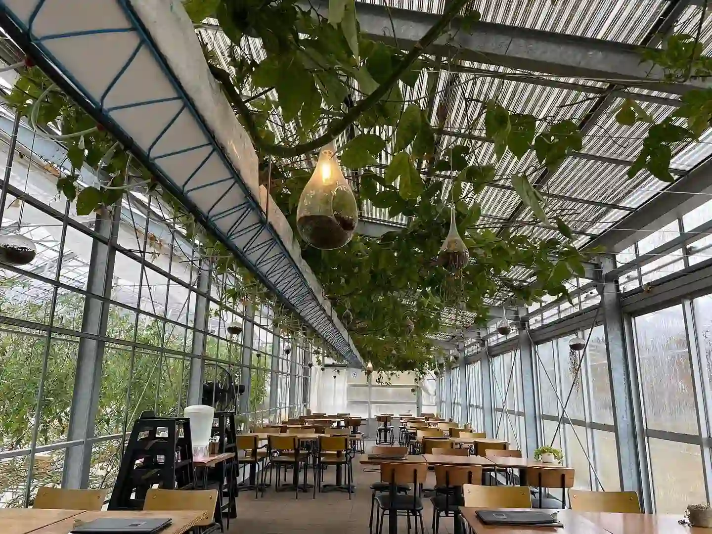 グリナリウム淡路島 GREENARIUM AWAJISHIMA CAFE＆ランチ＆レストラン＆イチゴ狩りの3枚目画像