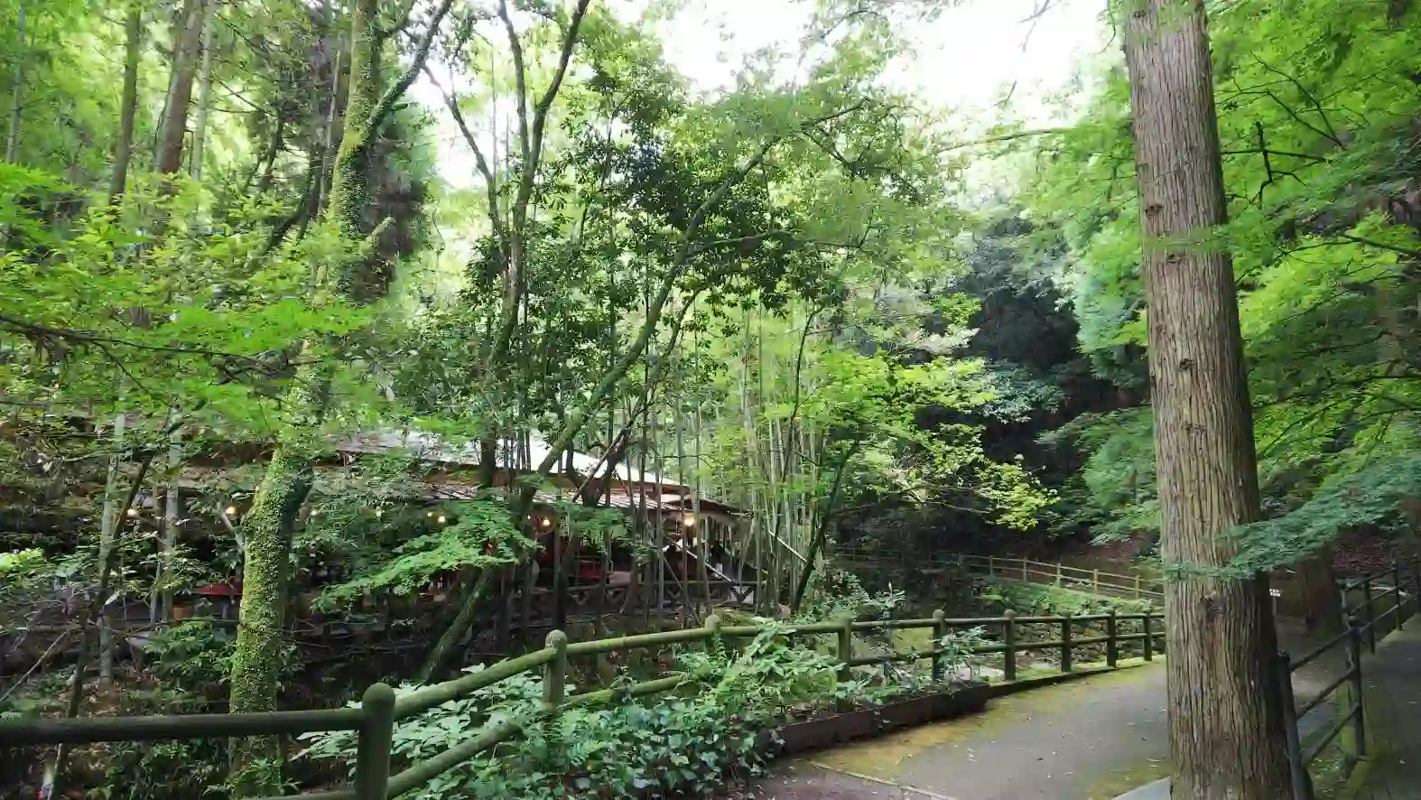 慈眼寺公園の2枚目画像