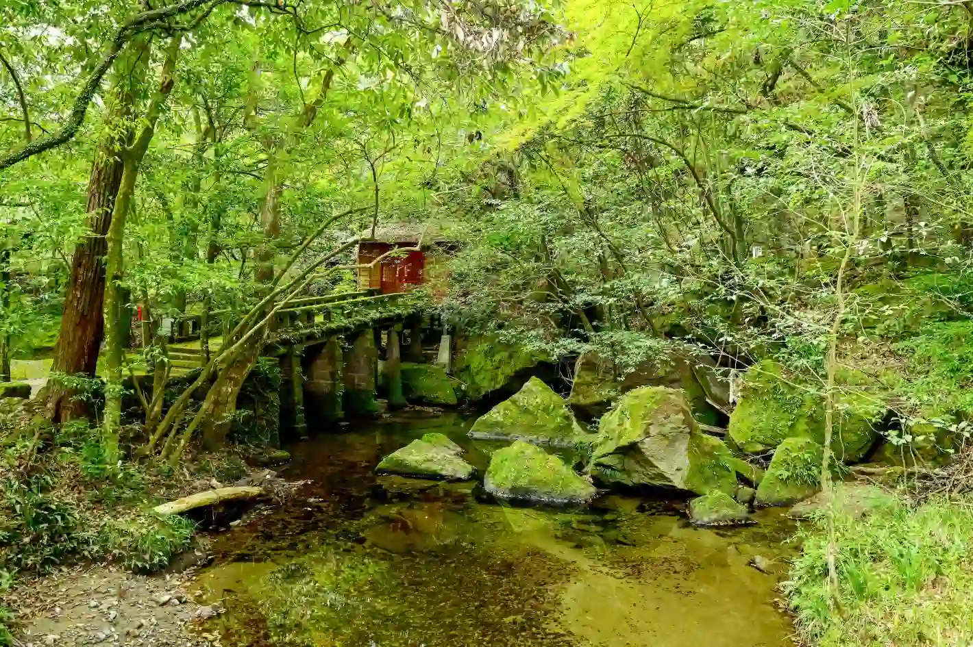 慈眼寺公園の3枚目画像