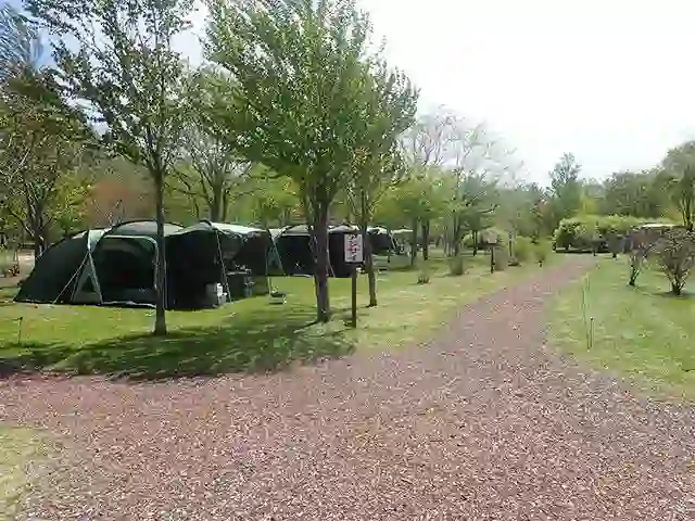 安平町鹿公園キャンプ場の2枚目画像