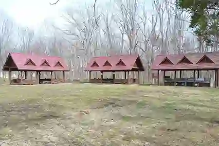 安平町鹿公園キャンプ場の3枚目画像