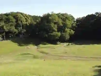 大麻西公園の3枚目画像