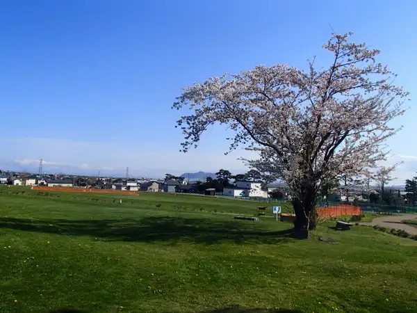 あかまつ公園の1枚目画像