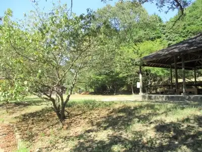 邑久自然教育の森キャンプ場の2枚目画像