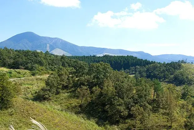 阿蘇鶴温泉ロッジ村の3枚目画像