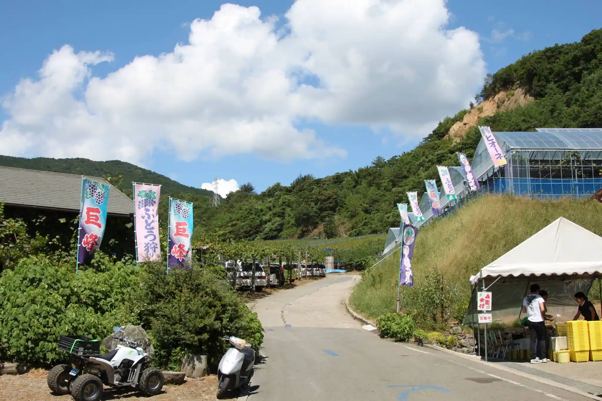 有田巨峰村 森園の3枚目画像