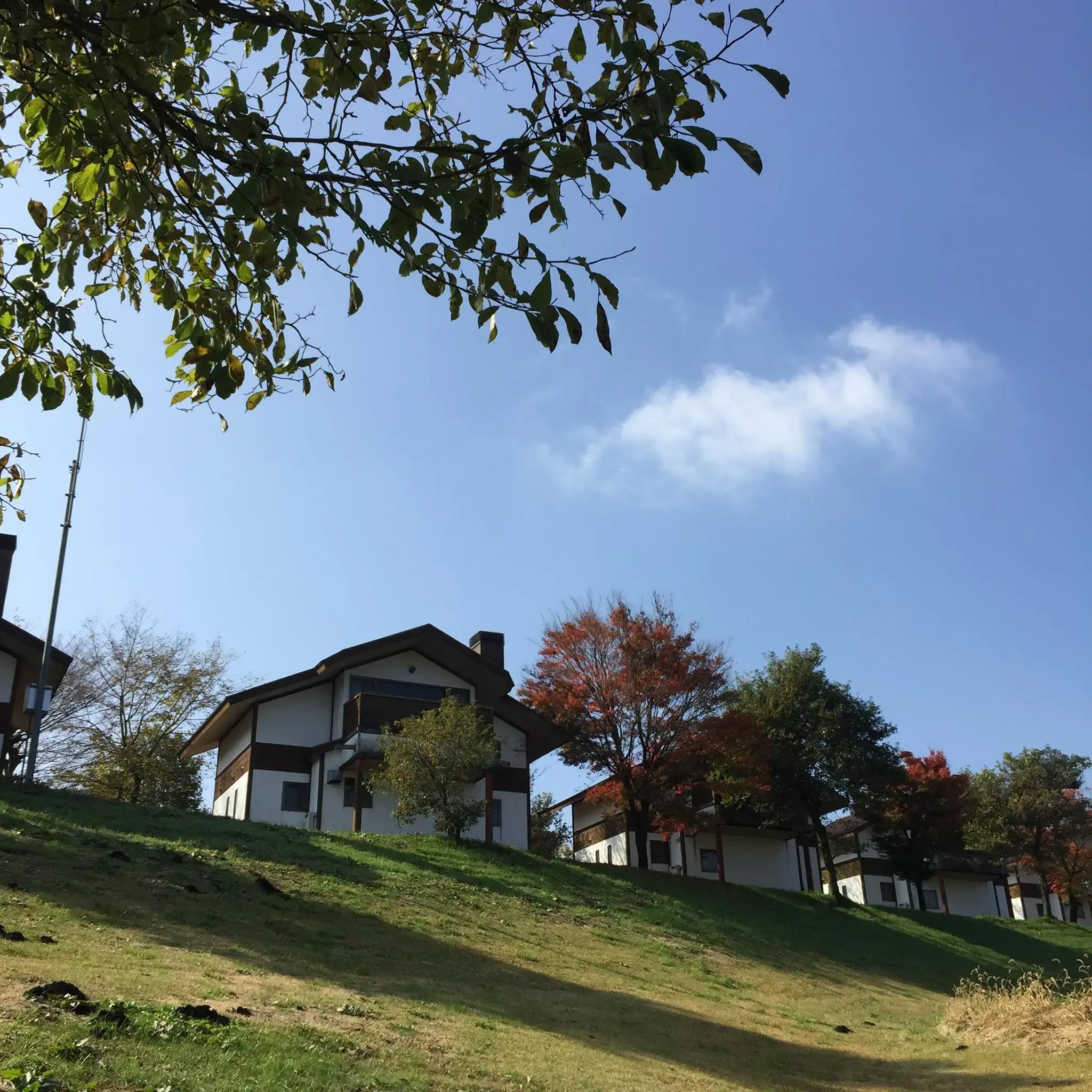 ファームビレッジ産山の2枚目画像