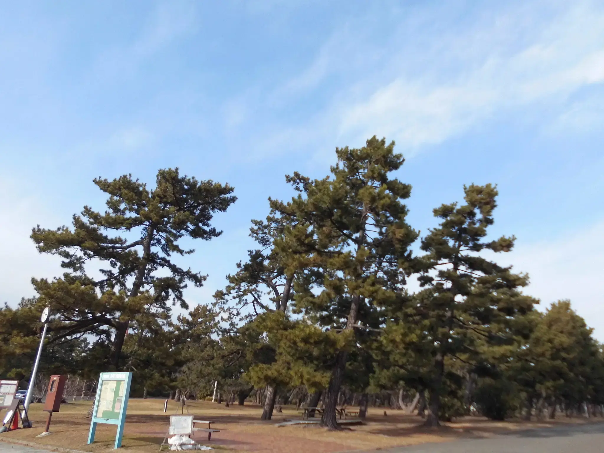 浜寺公園の2枚目画像