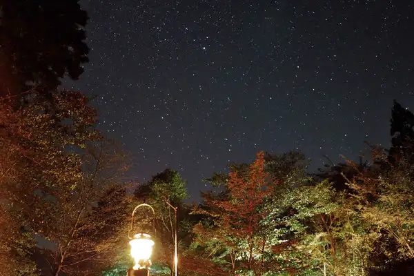 Foresters Village Kobitto　あさぎりキャンプフィールドの3枚目画像