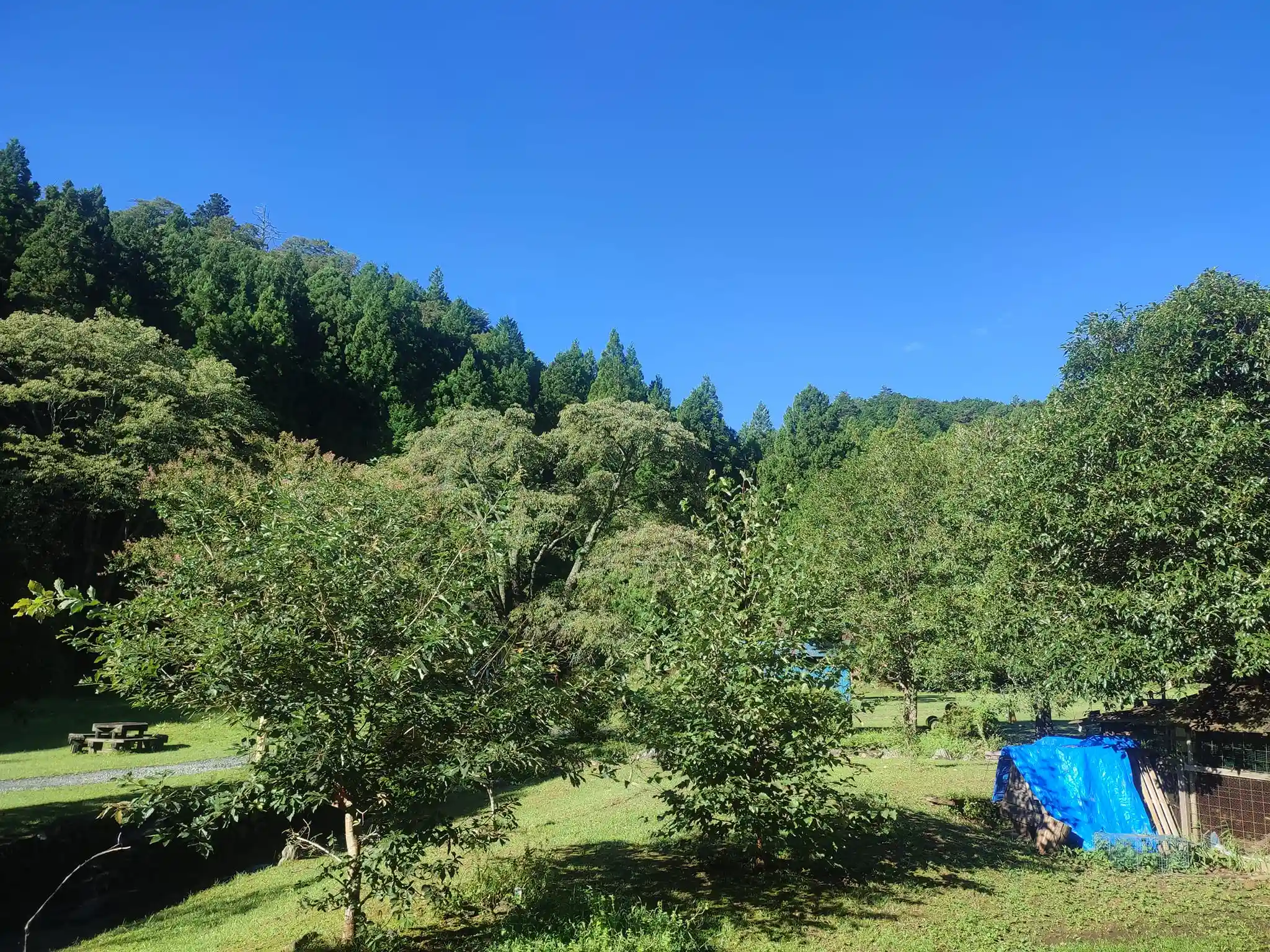 龍山秘密村の2枚目画像
