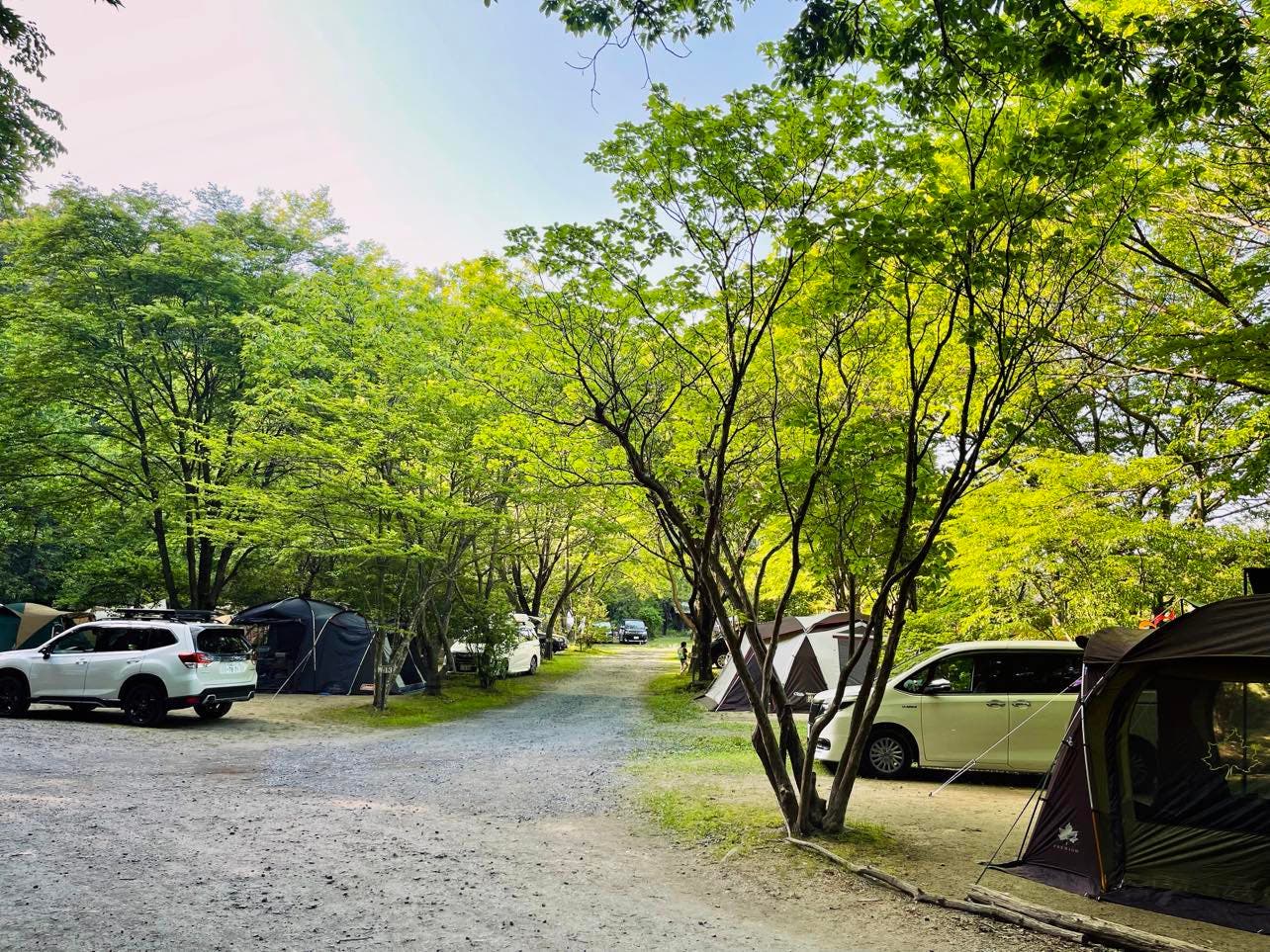 サンタヒルズのサブ写真3