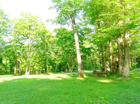 古山貯水池自然公園オートキャンプ場の2枚目画像