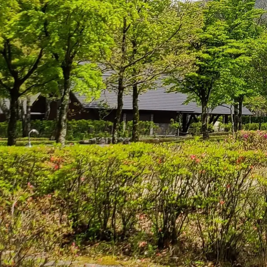 くじゅうやまなみキャンプ村の3枚目画像
