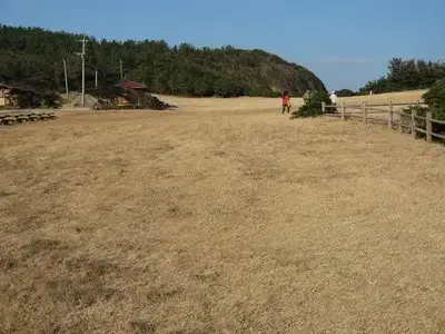 大賀キャンプ場の1枚目画像