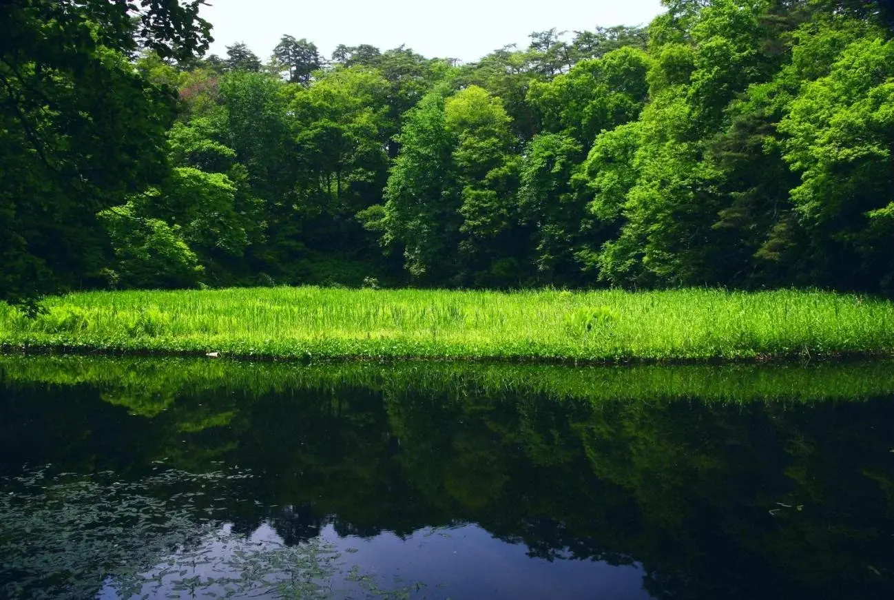 蓋沼森林公園の2枚目画像
