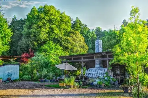 WoodyGarden(株)の1枚目画像