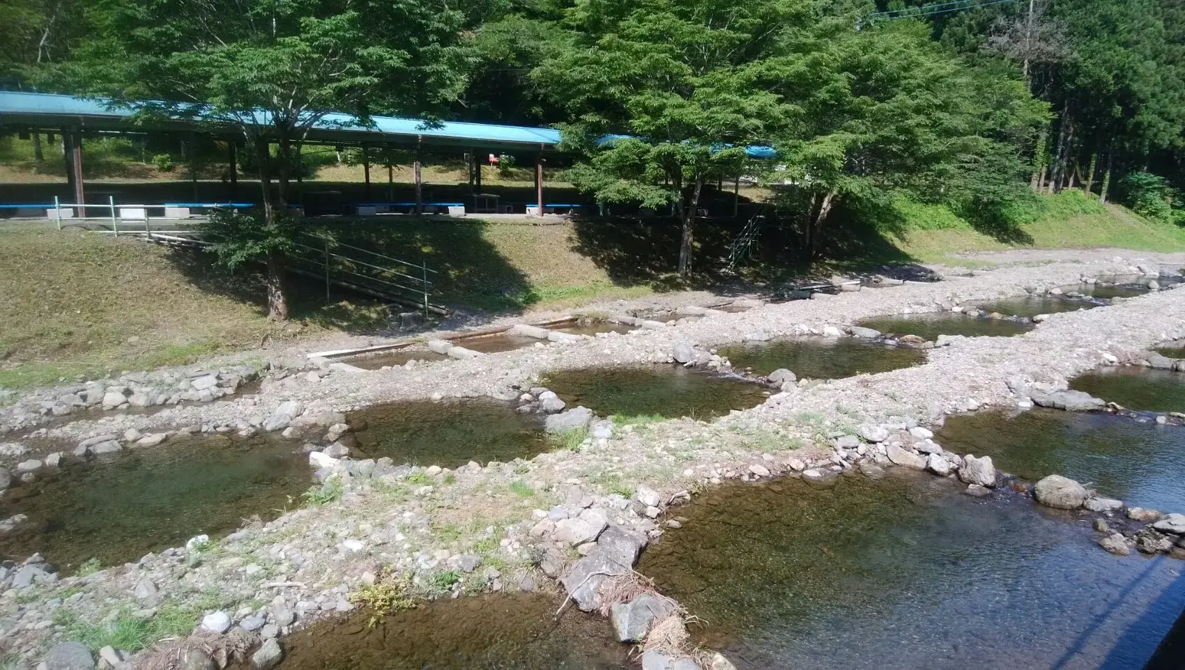 さかな園の2枚目画像
