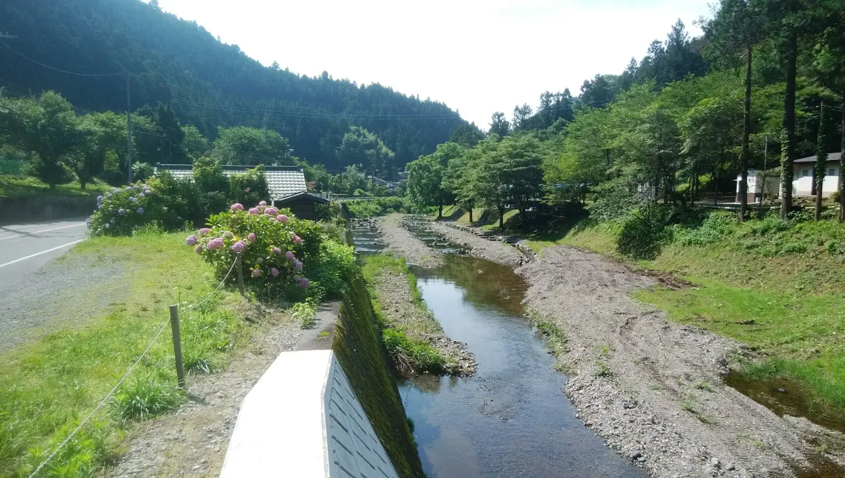 さかな園の3枚目画像