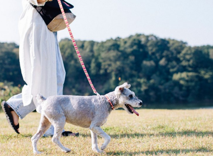 DOG FREE site/BBQ付きプラン