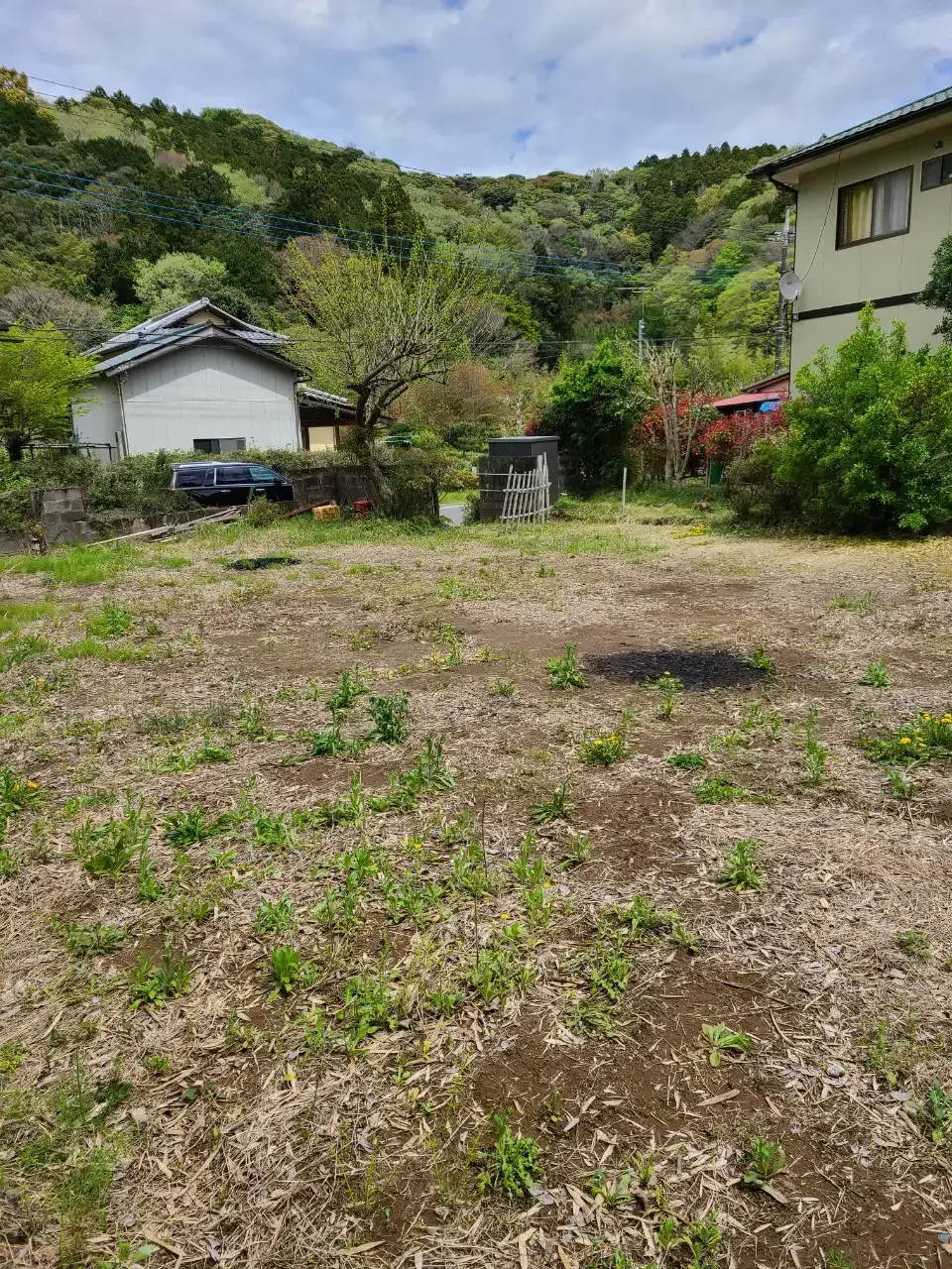 真里谷キャンプ場の2枚目画像