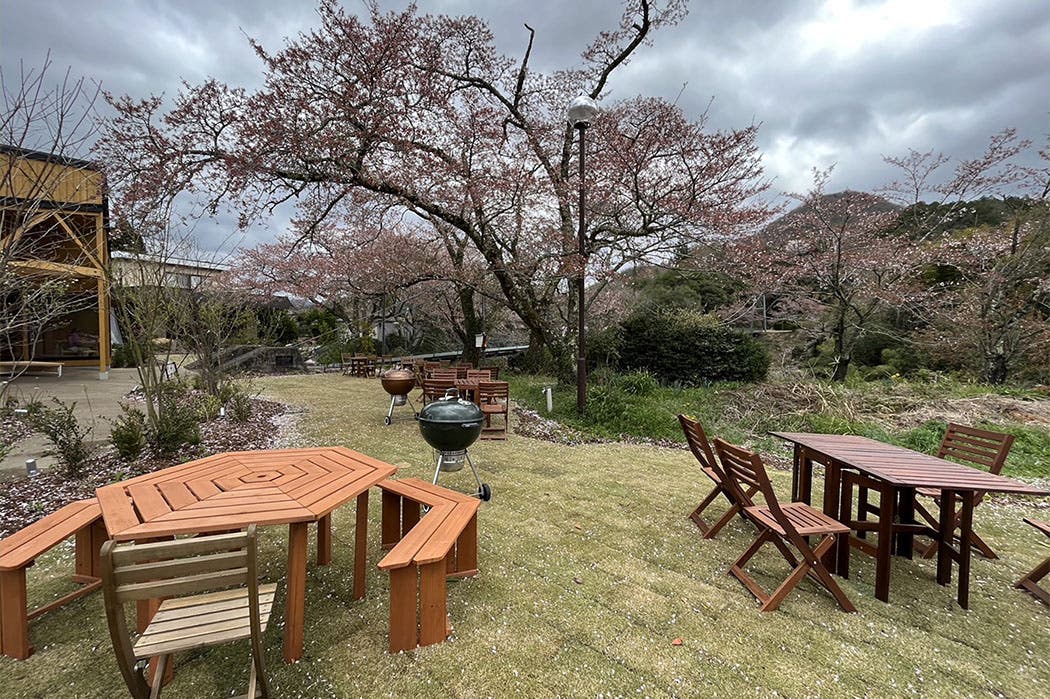 自然の中で、みんなでワイワイBBQ！