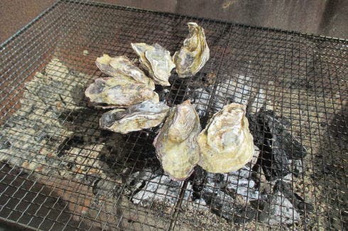 COSTA HINASE リゾートの3枚目画像