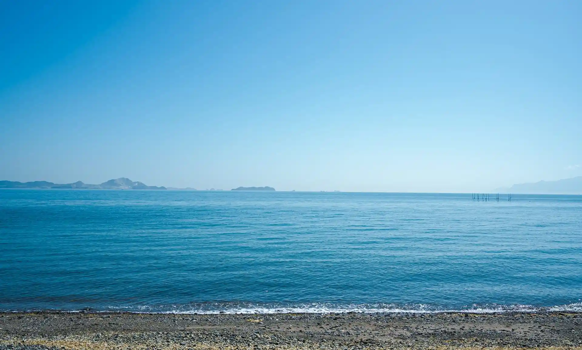 海の家misakiのサブ写真5