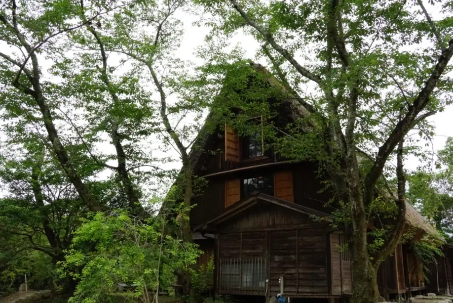 ウッドデザインパーク瀬戸のサブ写真3