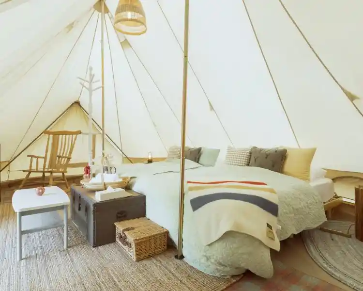 ザランタン三瀬高原 やまびこの湯のサブ写真4