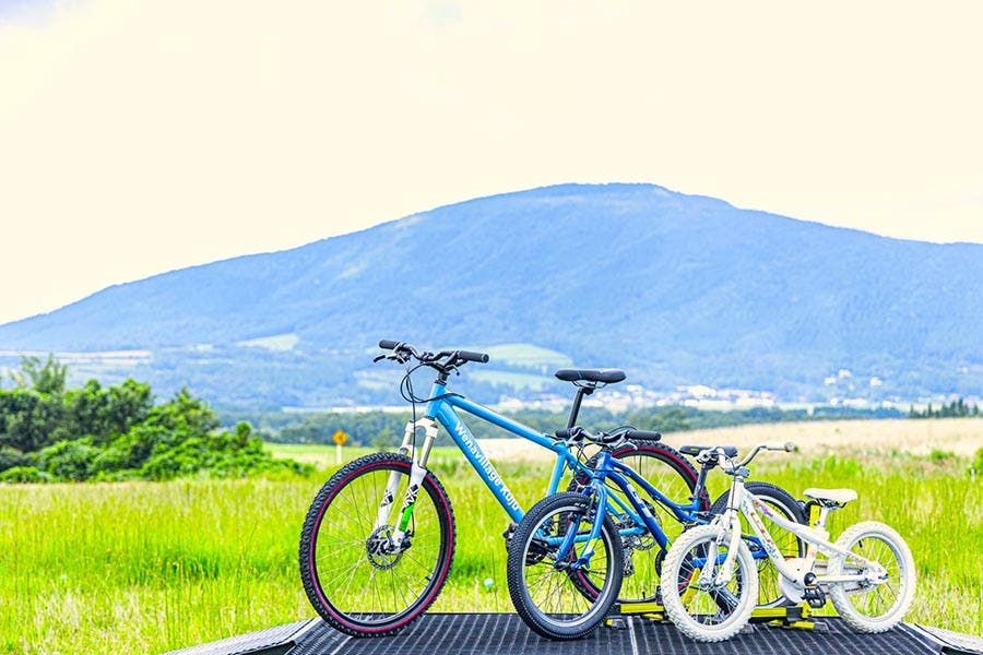 ウェナヴィレッジくじゅうのサブ写真8