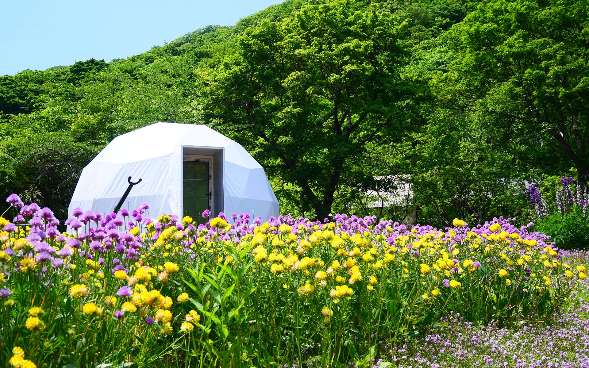 glampark 小樽はなえみの1枚目画像