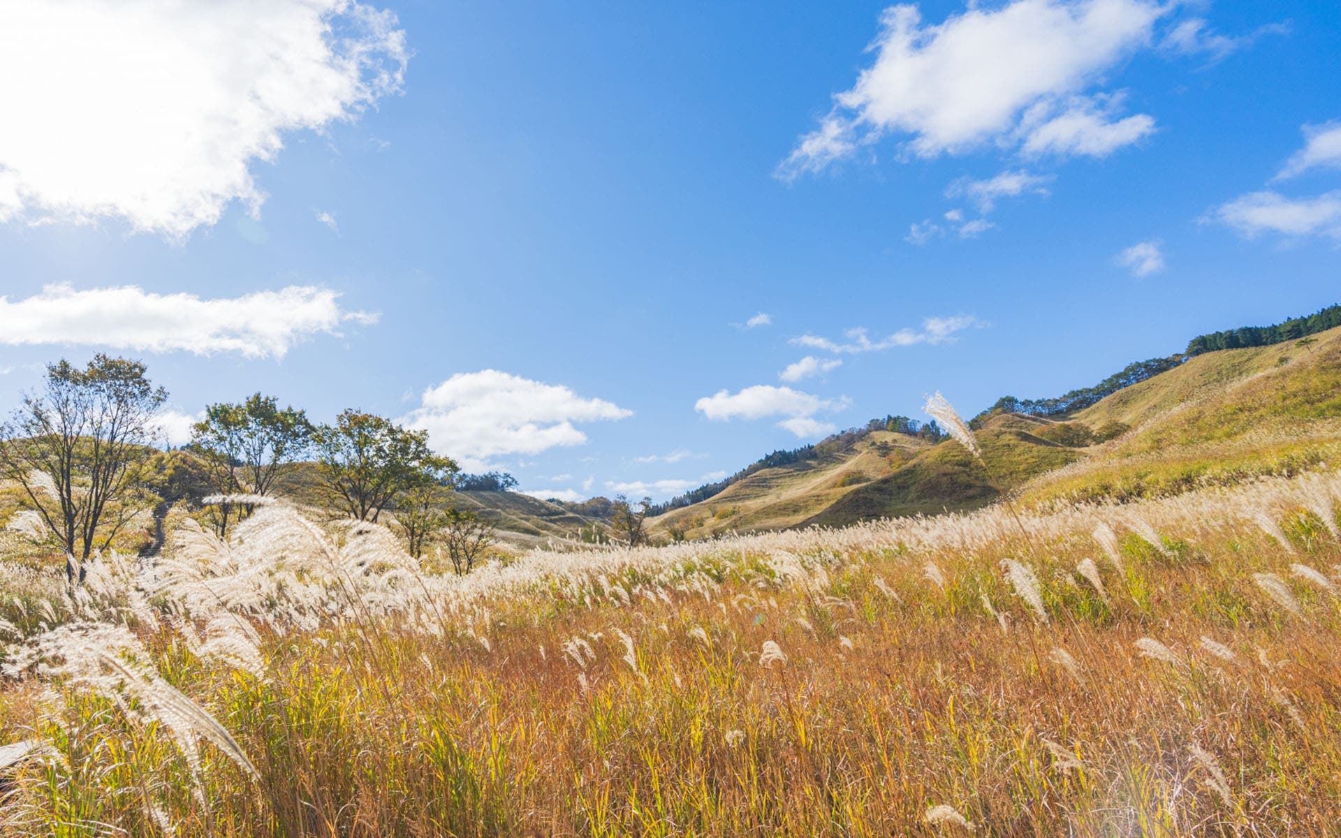 glampark ホテルモンテローザのサブ写真3