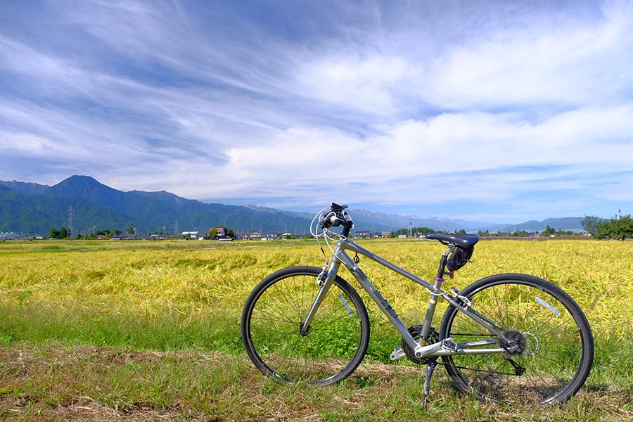 glampark ホテルモンテローザのサブ写真4