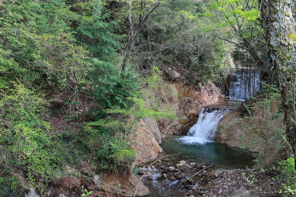 癒しの森のガーデンカフェレストラン Aliceのサブ写真3