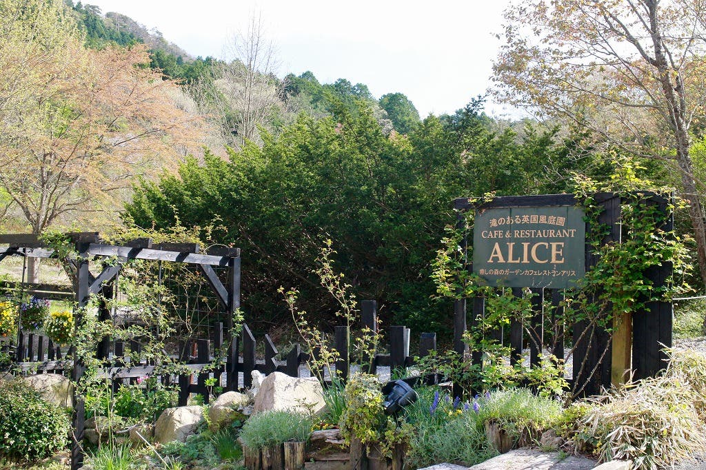 癒しの森のガーデンカフェレストラン Aliceのサブ写真4