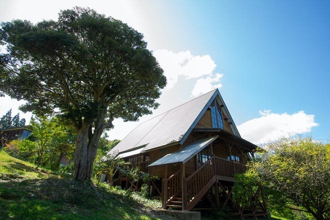 宍道ふるさと森林公園のサブ写真6