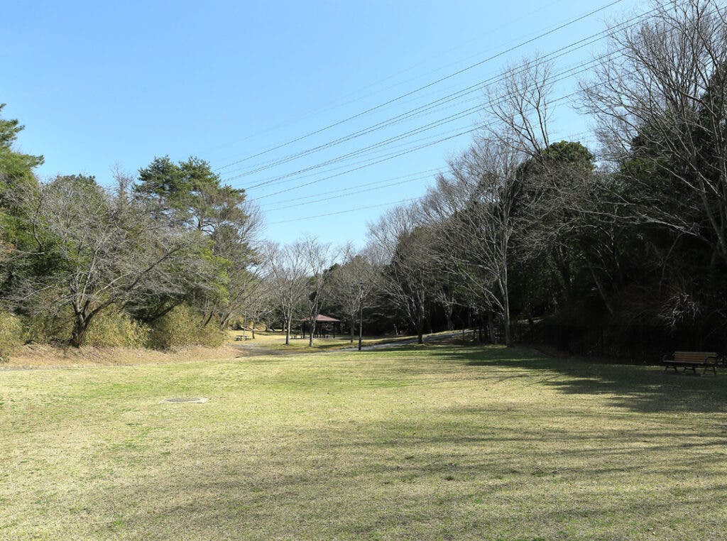 NISHIKOoRI YAICHAO! BBQのサブ写真3