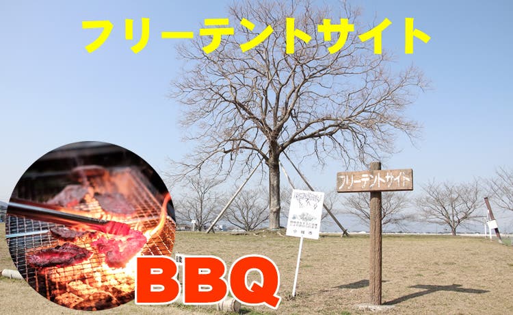 海遊ふれあいパークオートキャンプ場のサブ写真4