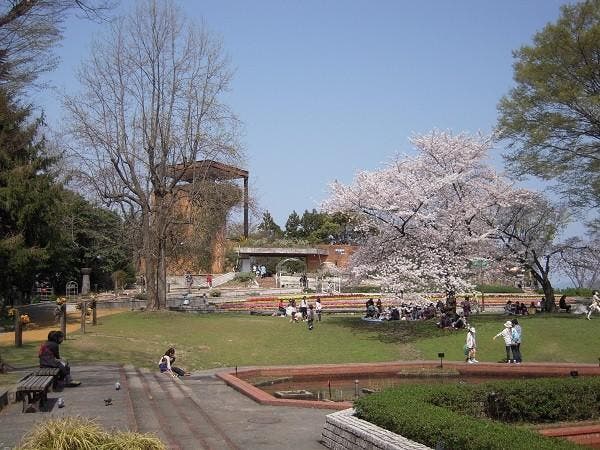 福岡市植物園展望台カフェの1枚目画像