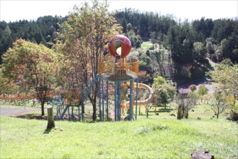 美幌みどりの村森林公園キャンプ場のサブ写真9